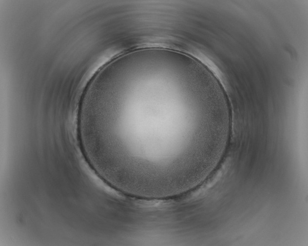 X0000113280949200909141222