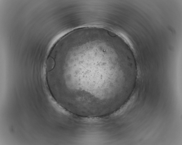 X0000113280952200909141222