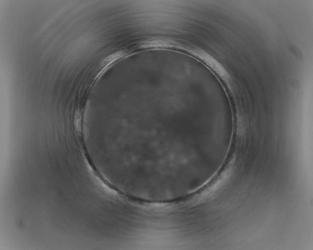 X0000113280953200909141222