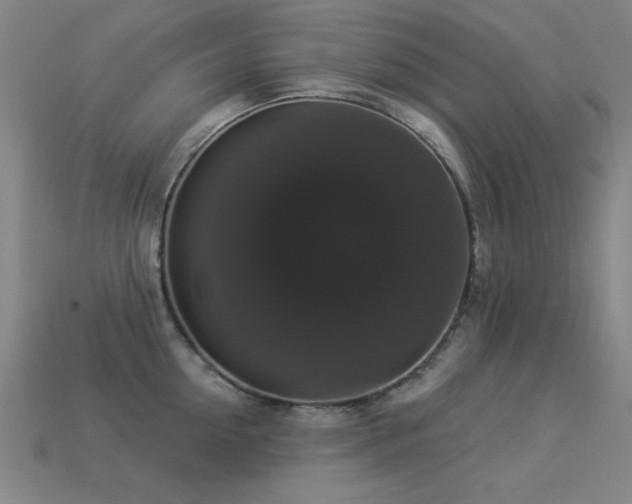 X0000113280954200909141222