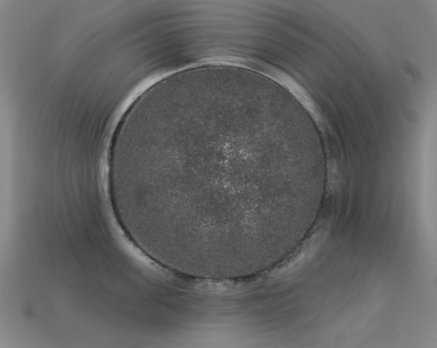 X0000113280955200909141222