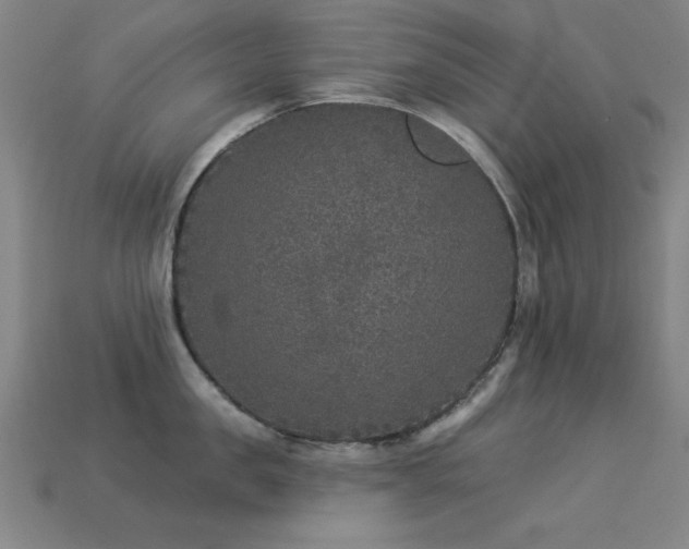 X0000113280957200909141222