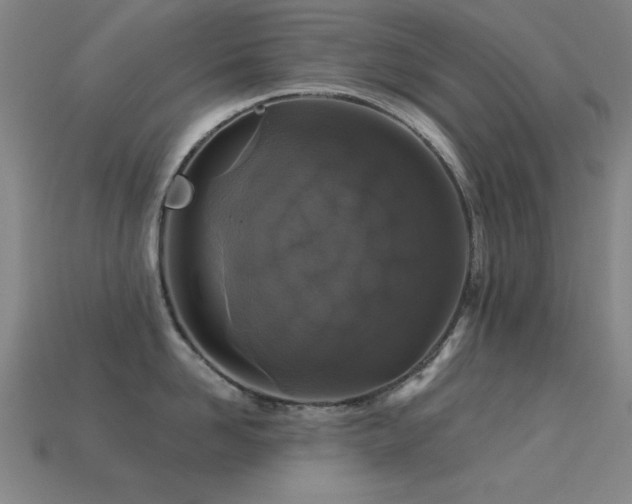 X0000113280958200909141222