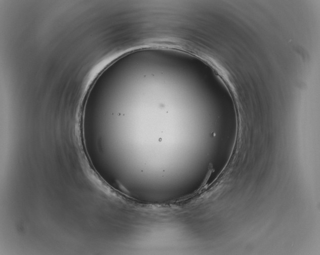 X0000113280960200909141222