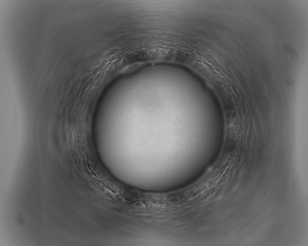 X0000113280961200909141222