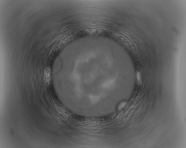 X0000113280963200909141222