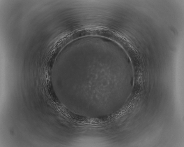 X0000113280966200909141222