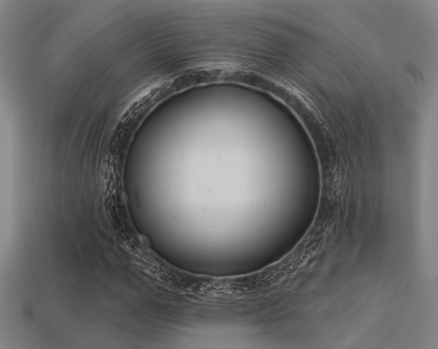 X0000113280967200909141222