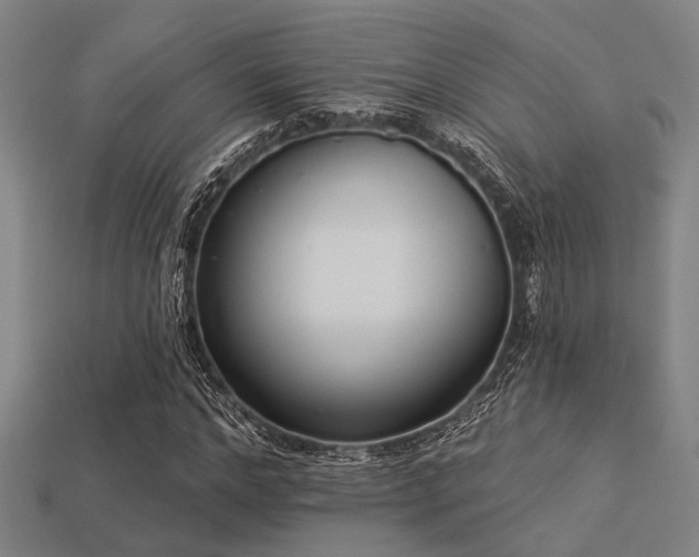 X0000113280968200909141222