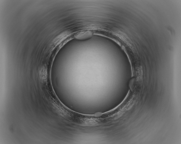 X0000113280969200909141222