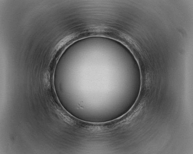 X0000113280970200909141222