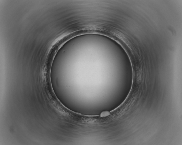 X0000113280971200909141222