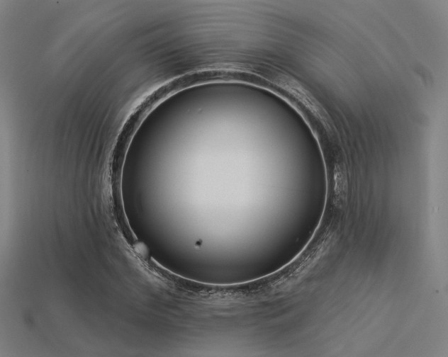 X0000113280972200909141222