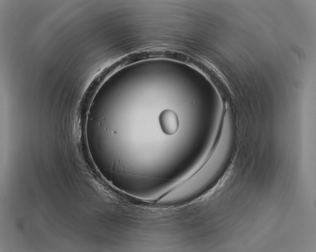 X0000113280973200909141222