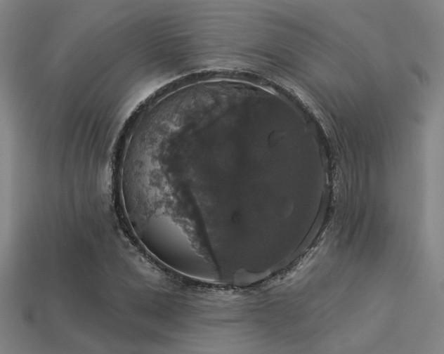 X0000113280975200909141222