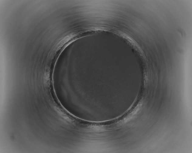 X0000113280977200909141221