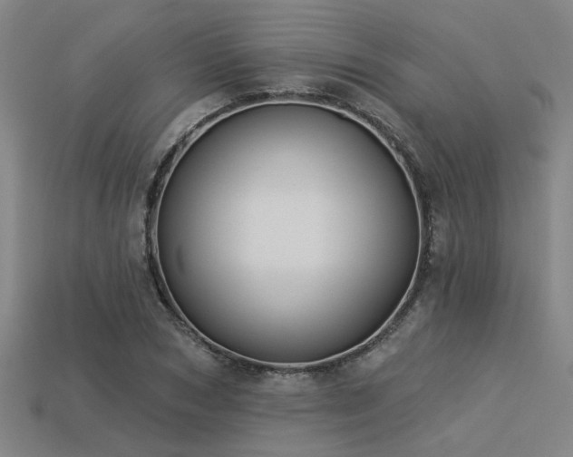 X0000113280978200909141221