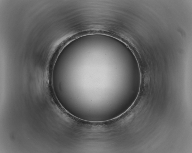 X0000113280979200909141221