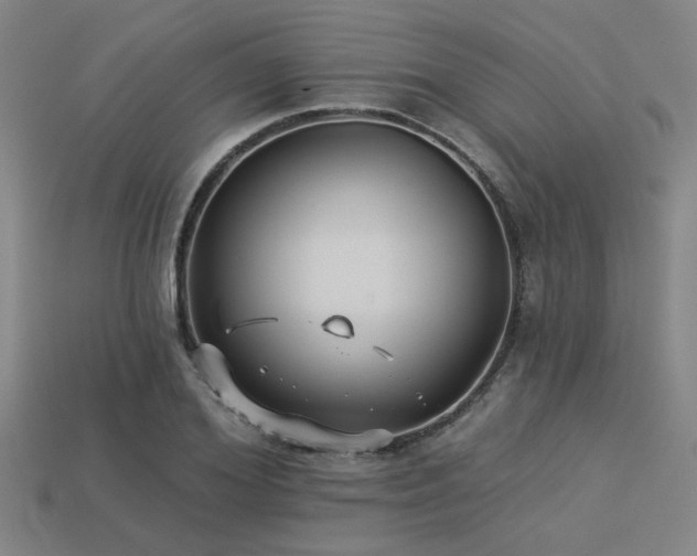 X0000113280980200909141221