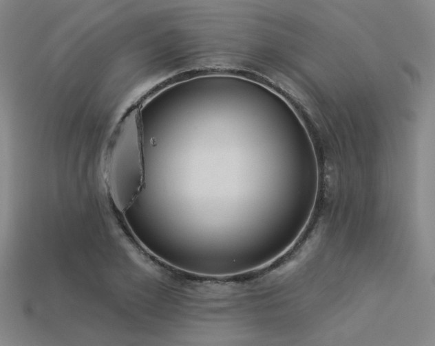 X0000113280981200909141221