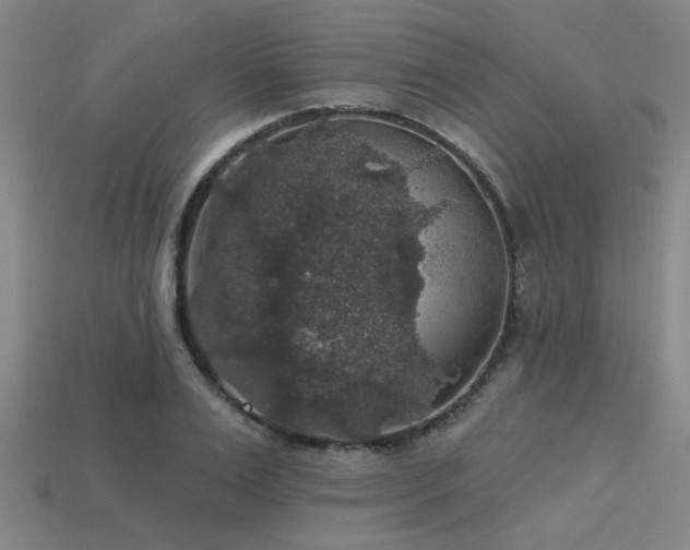 X0000113280983200909141221