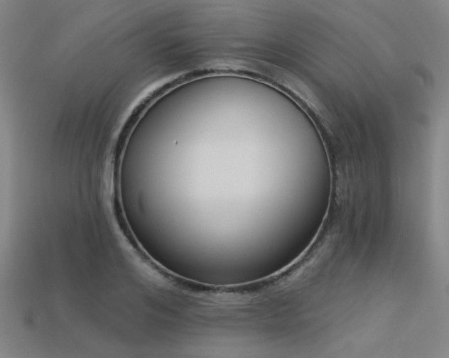 X0000113280984200909141221