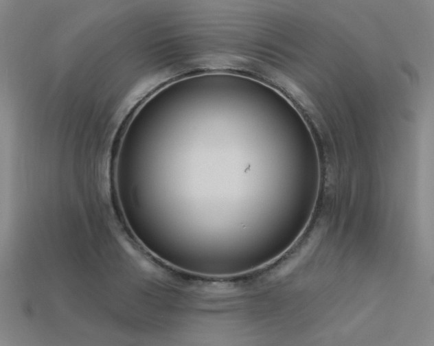 X0000113280986200909141221