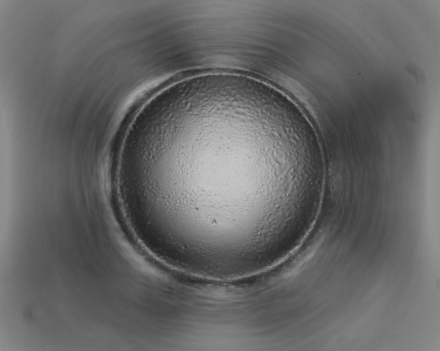 X0000113280987200909141221