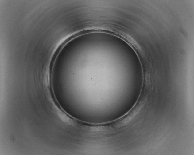 X0000113280988200909141221