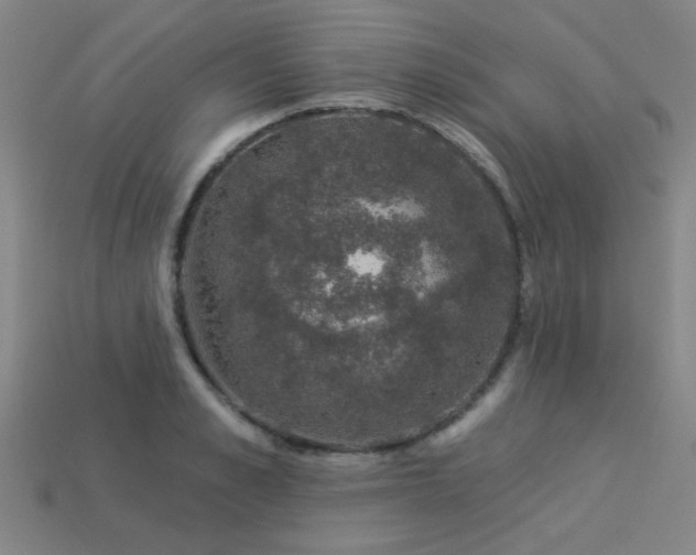 X0000113280989200909141221