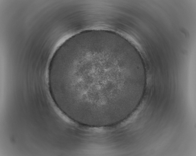 X0000113280990200909141221