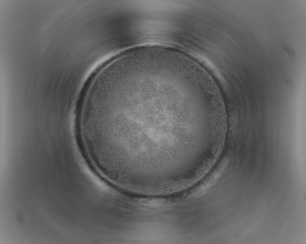 X0000113280991200909141221