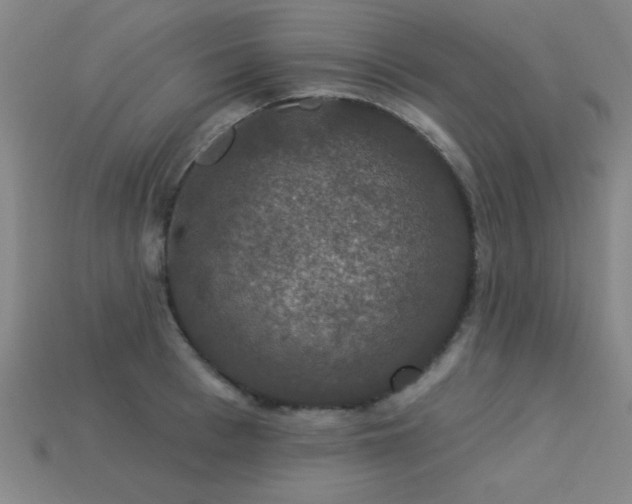 X0000113280993200909141221