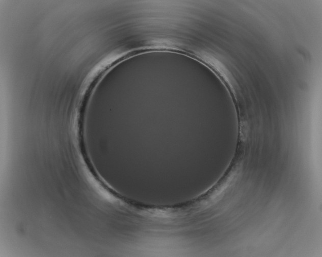 X0000113280995200909141221