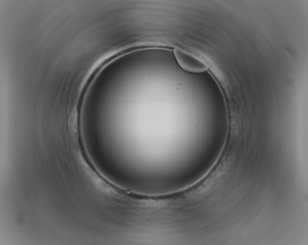 X0000113280996200909141221