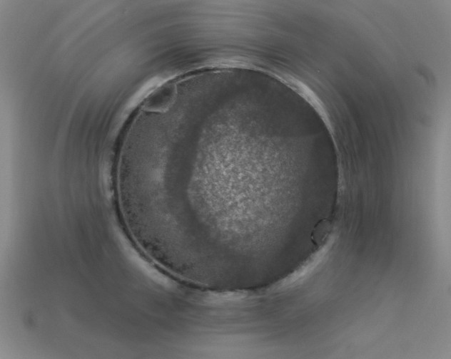 X0000113280997200909141221