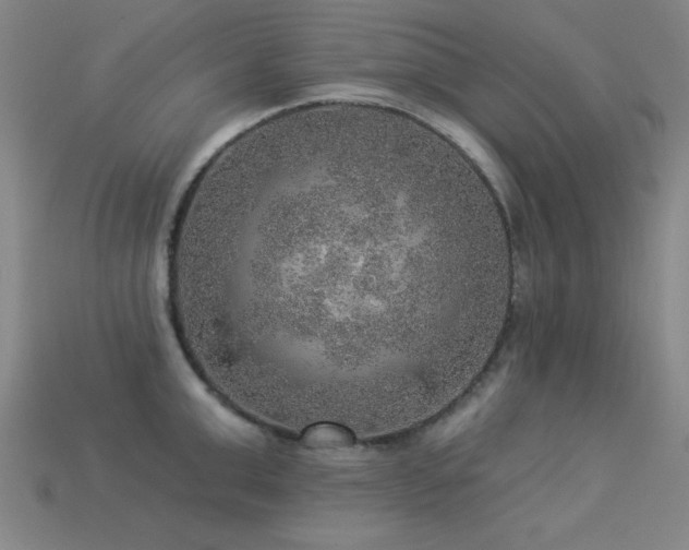 X0000113280999200909141221