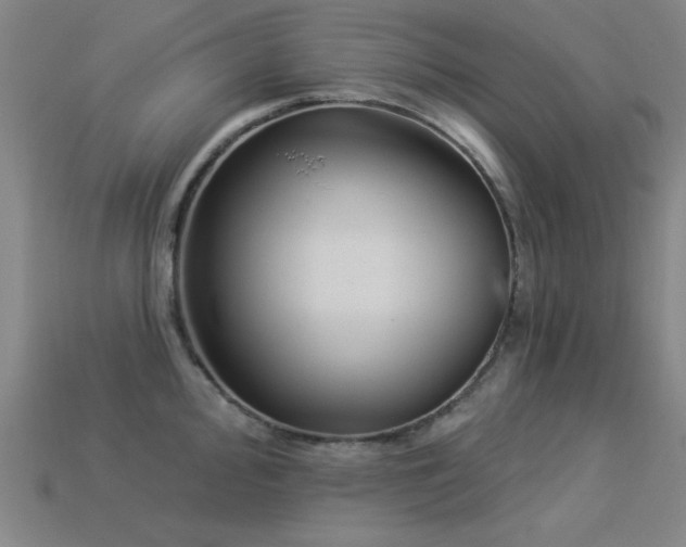 X0000113281000200909141221