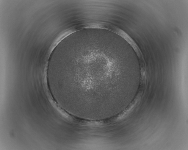 X0000113281002200909141221