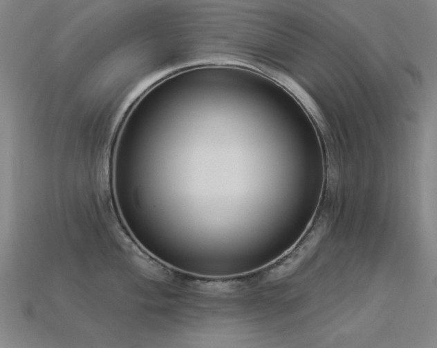 X0000113281004200909141221