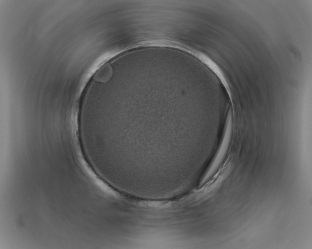 X0000113281005200909141221