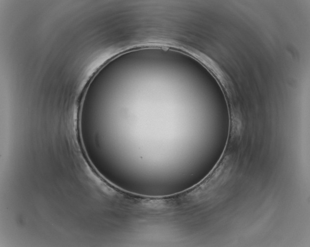 X0000113281006200909141221