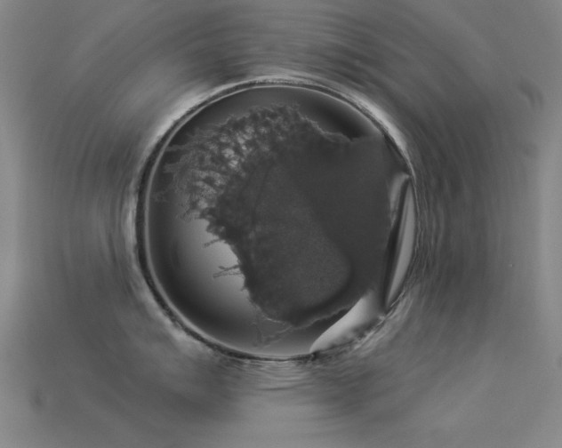 X0000113281007200909141221