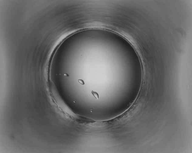 X0000113281008200909141221