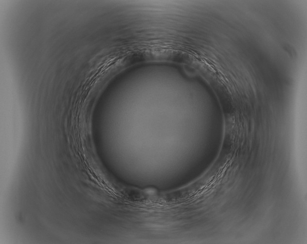 X0000113281009200909141220