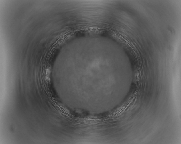 X0000113281010200909141220