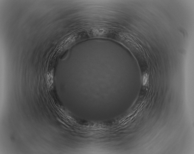 X0000113281011200909141220