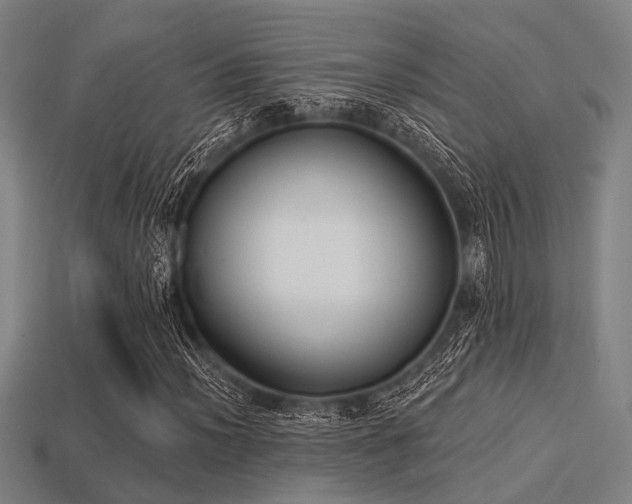 X0000113281012200909141220