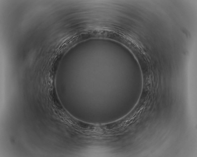 X0000113281013200909141220