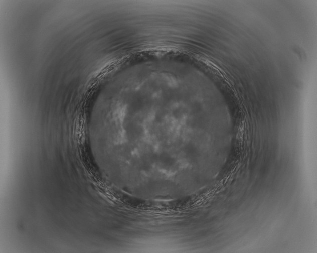 X0000113281014200909141220